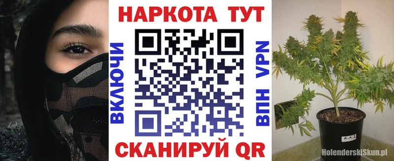Магазины продажи наркотиков Щучье Альфа ПВП МЕФ АМФ МЕТАДОН ГАШИШ KRAKEN ТОР Псилоцибиновые грибы