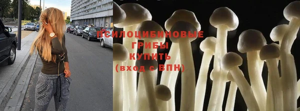 PSILOCYBIN Михайловск