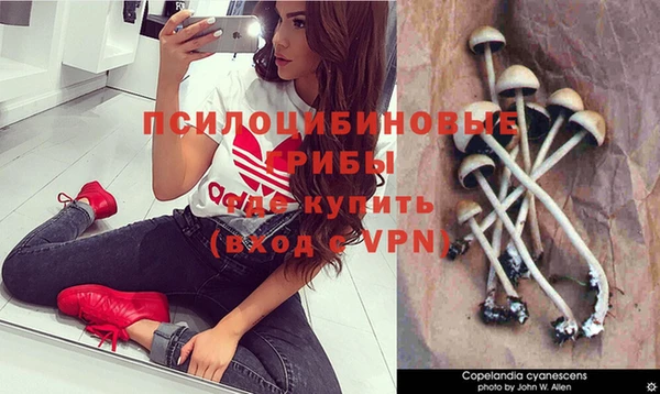спайс Михайловка
