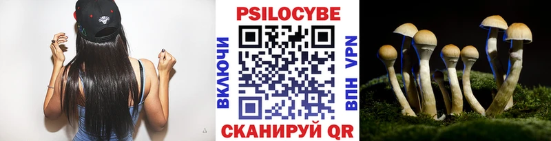 Галлюциногенные грибы GOLDEN TEACHER  Щучье 